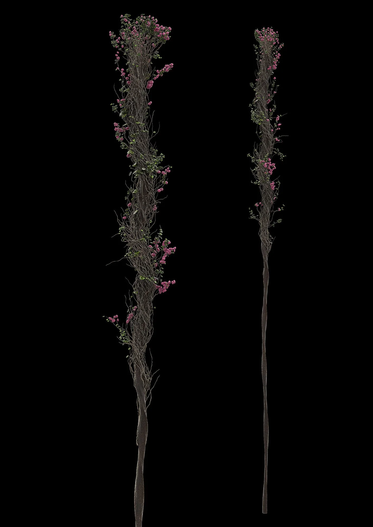 robbliss-5e5d508c268ab5a.jpg