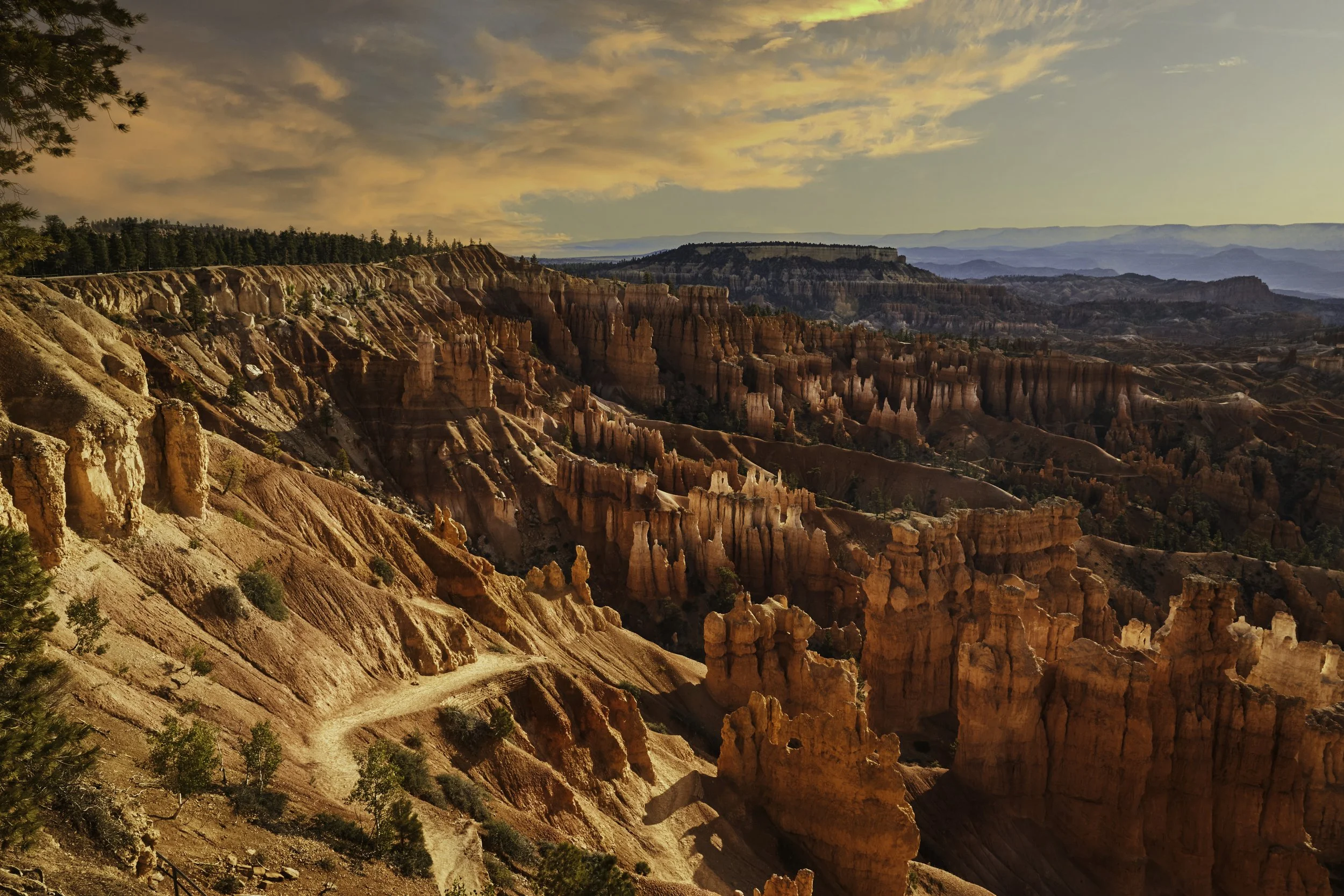 CE7A0968-Edit.jpg