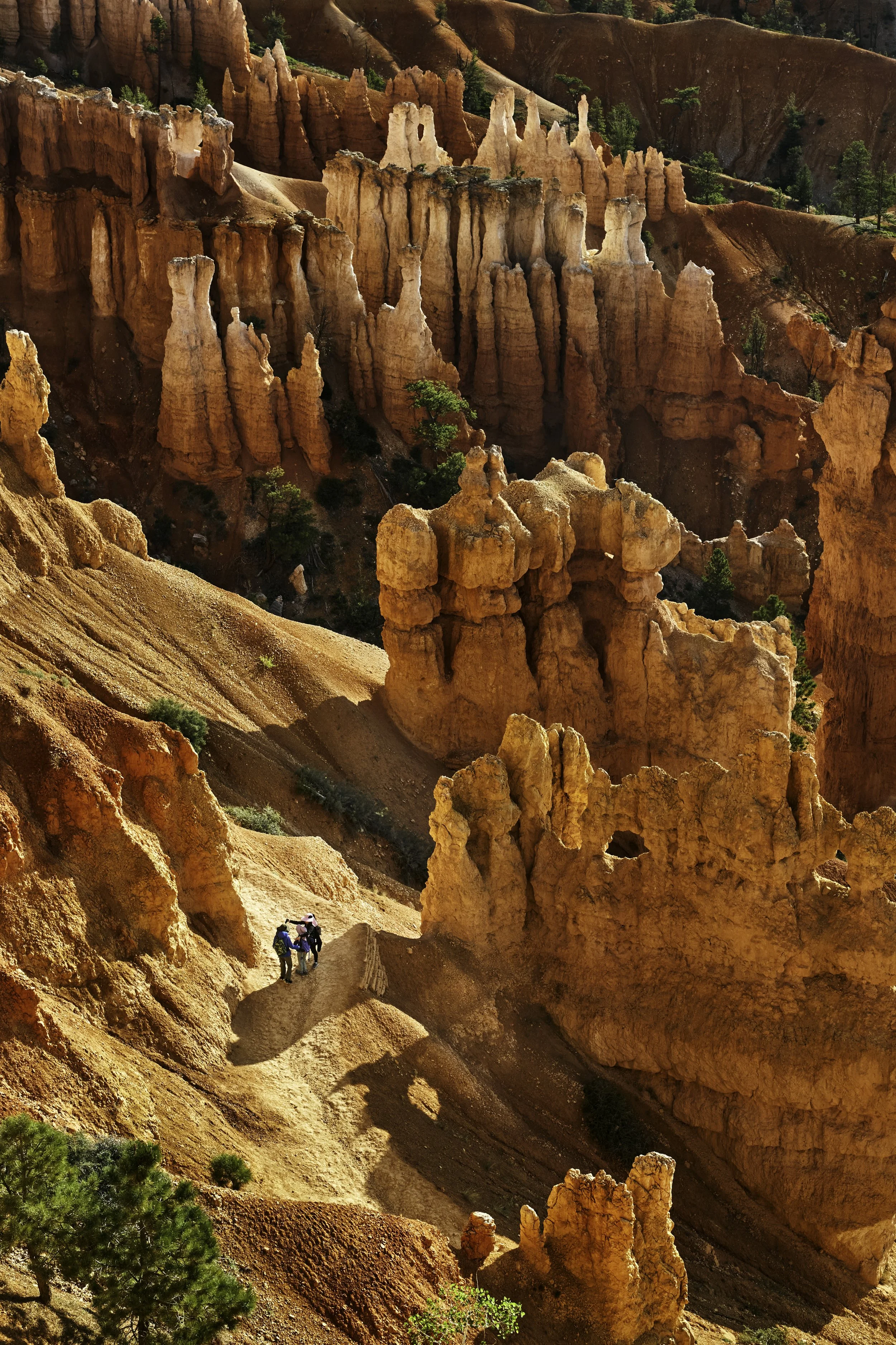 CE7A0978-Edit.jpg