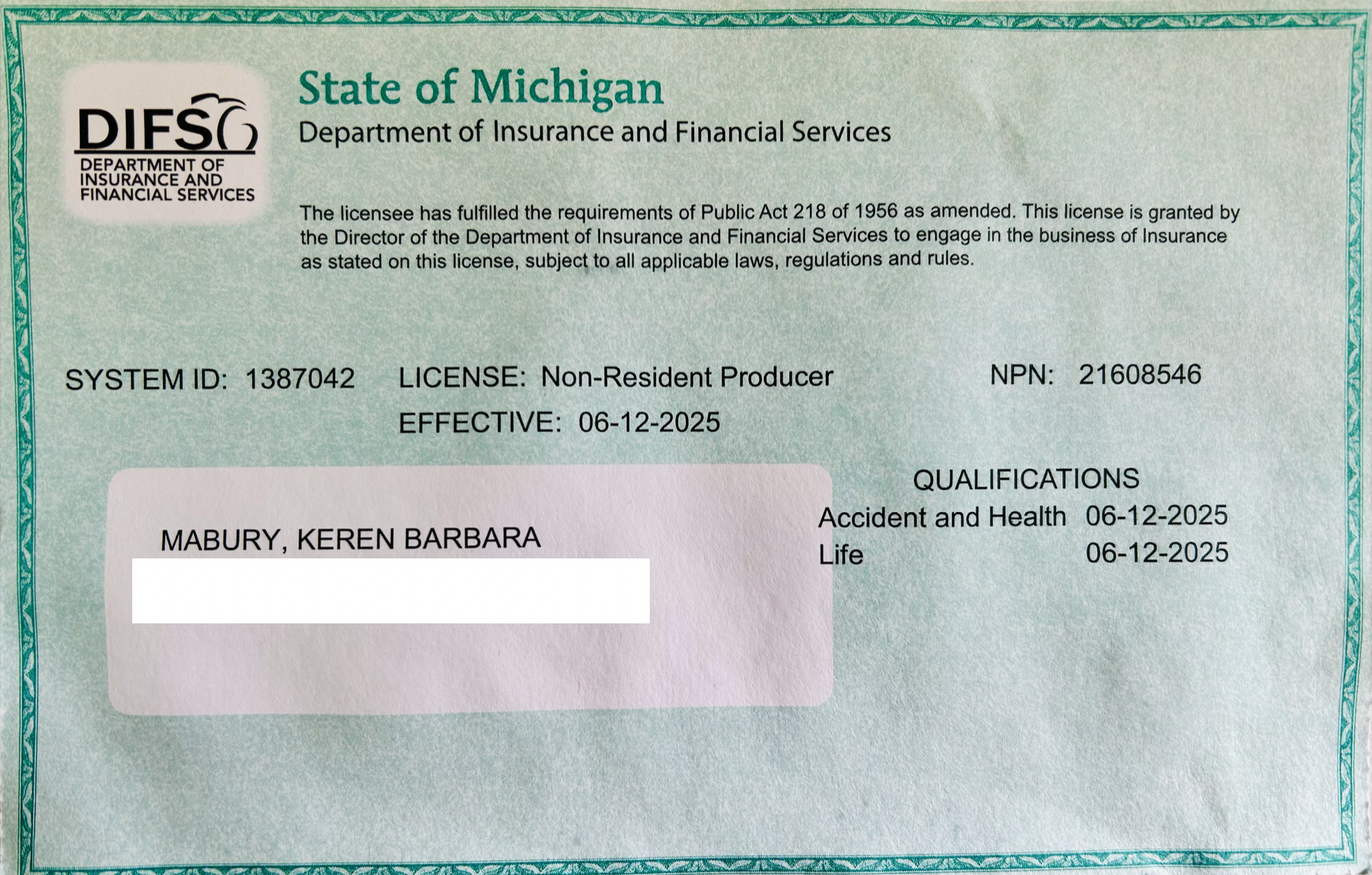 Michigan License