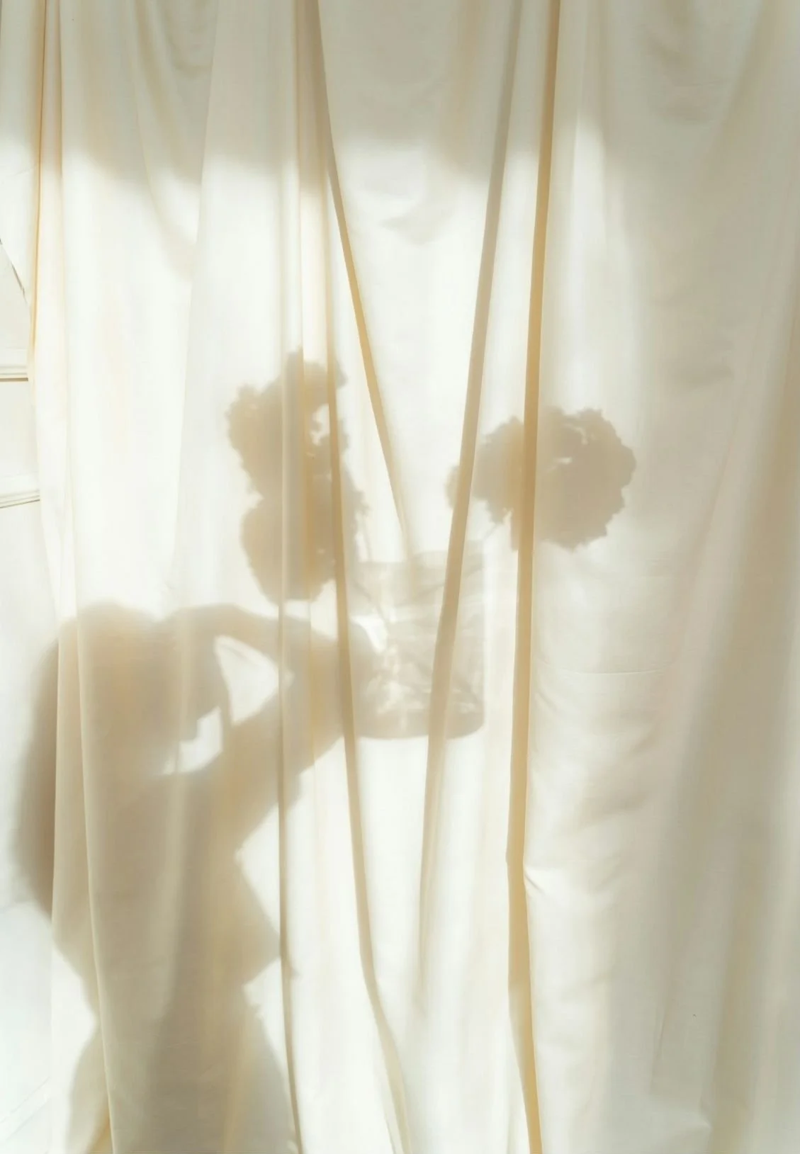 Curtain with shadow of a potted plant cast on it by sunlight.
