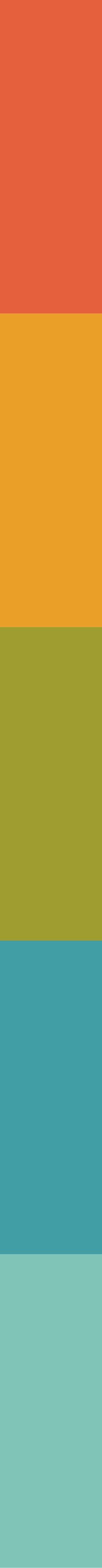 A vertical gradient bar with five distinct color segments: red at the top, followed by yellow, green, and blue at the bottom.