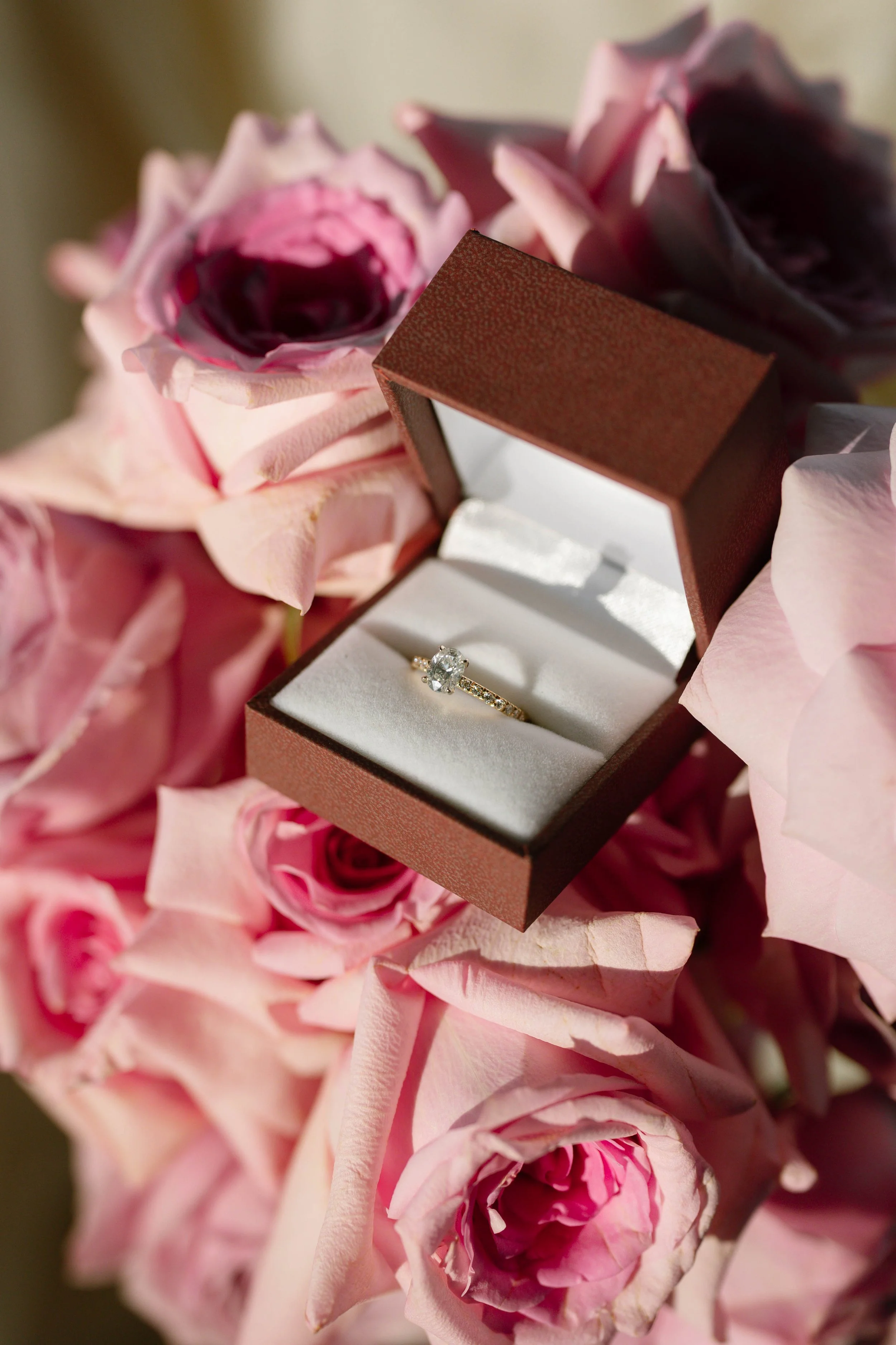 ISAAC-PAIGE-PROPOSAL-2.jpg