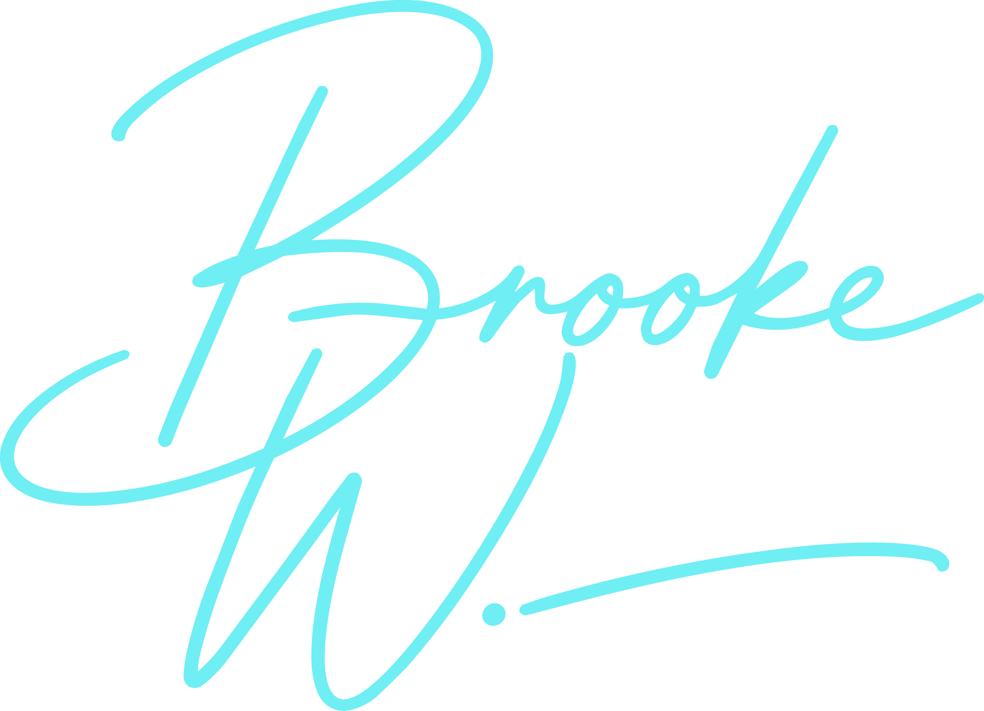 A signature image of handwritten text that reads Brooke W.