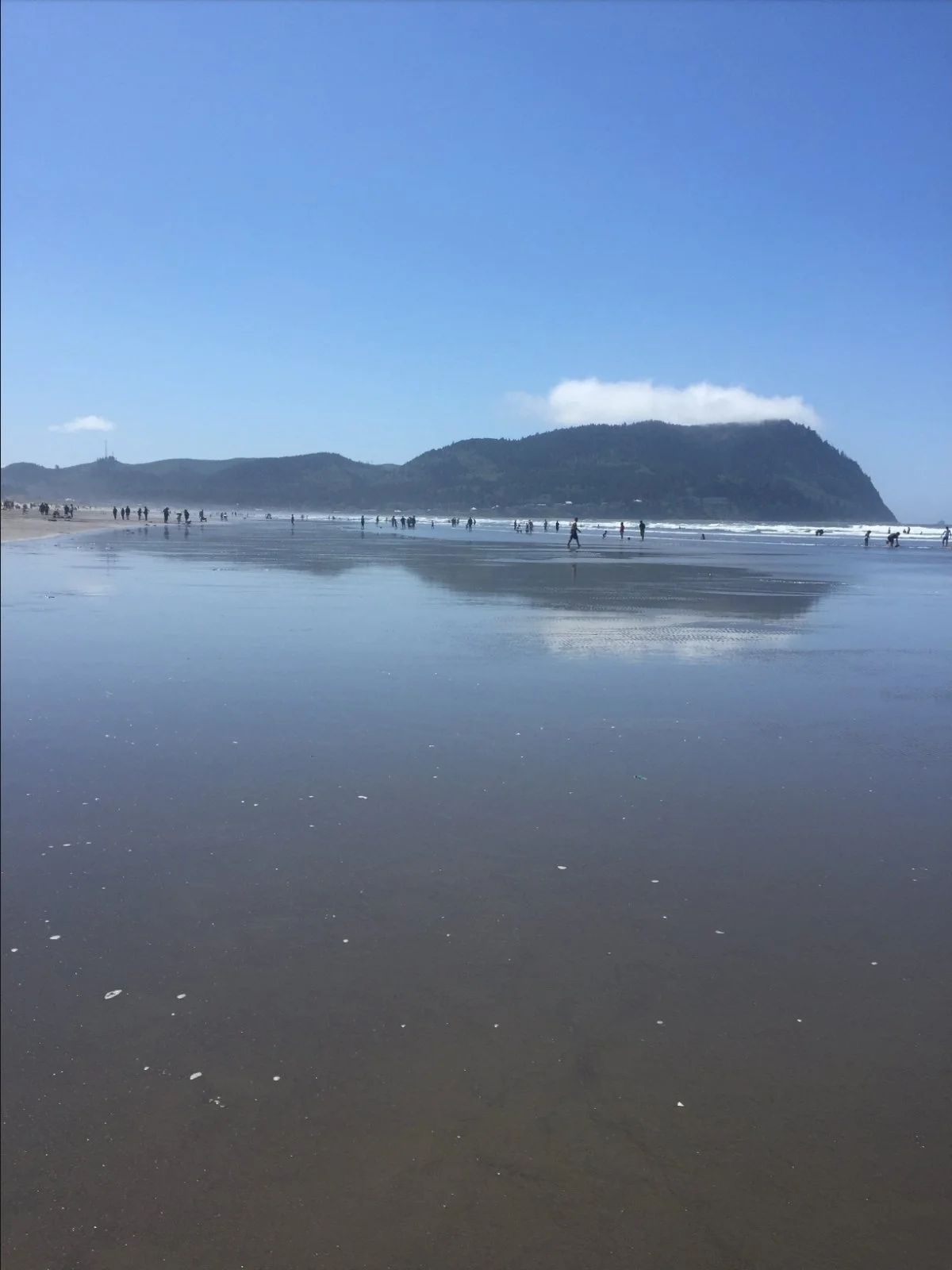 Beach with wet sand reflecting the blue sky, people walking along the shoreline, and a green hill in the background under a clear sky.