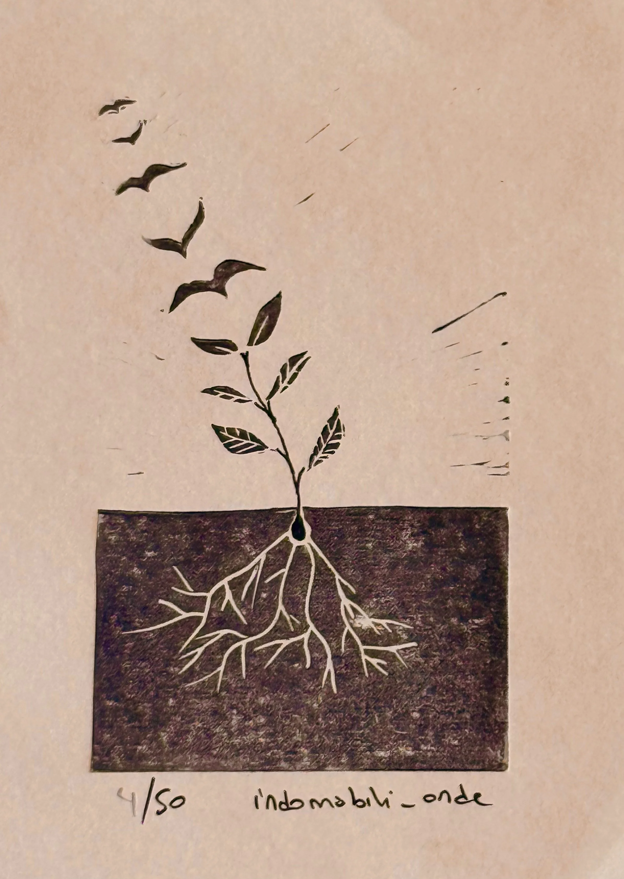 Reflection & Release