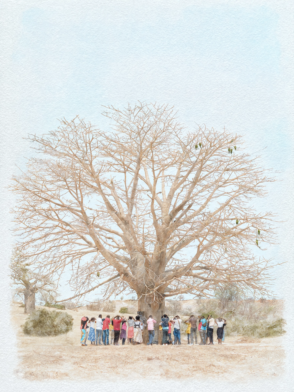Giant Baobab Gathering Wash.png
