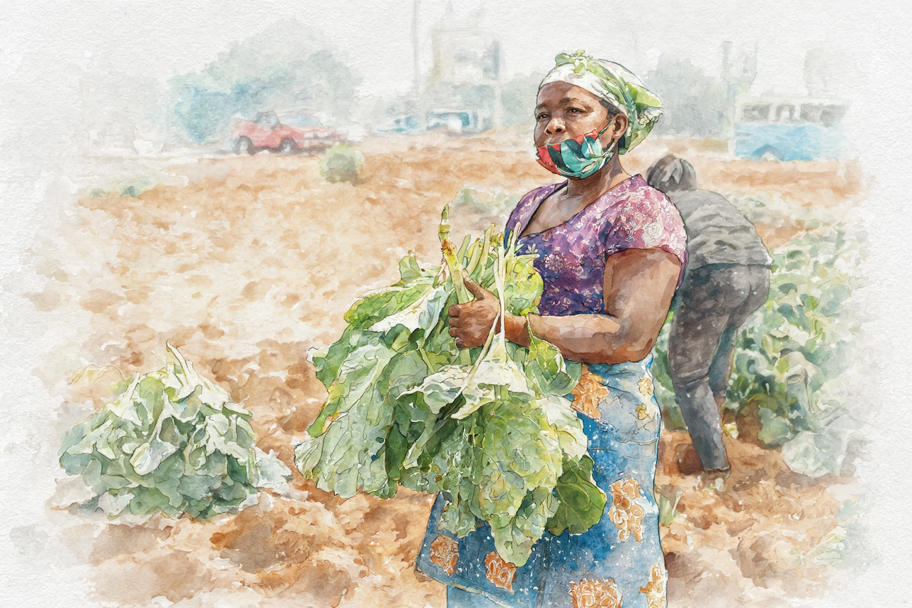 Couve Field Worker | Luanda, Angola