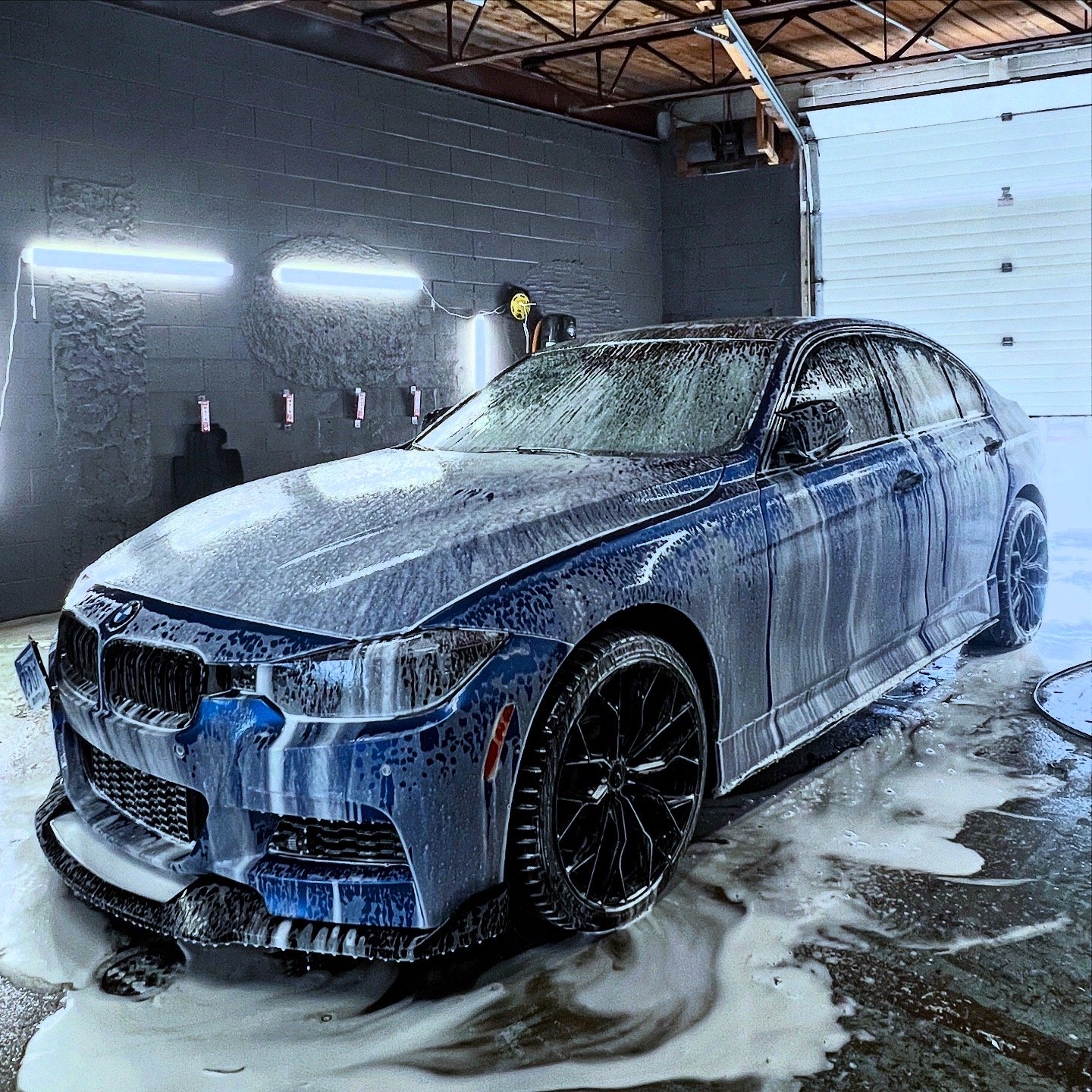 WINNIPEG AUTO AESTHETICS