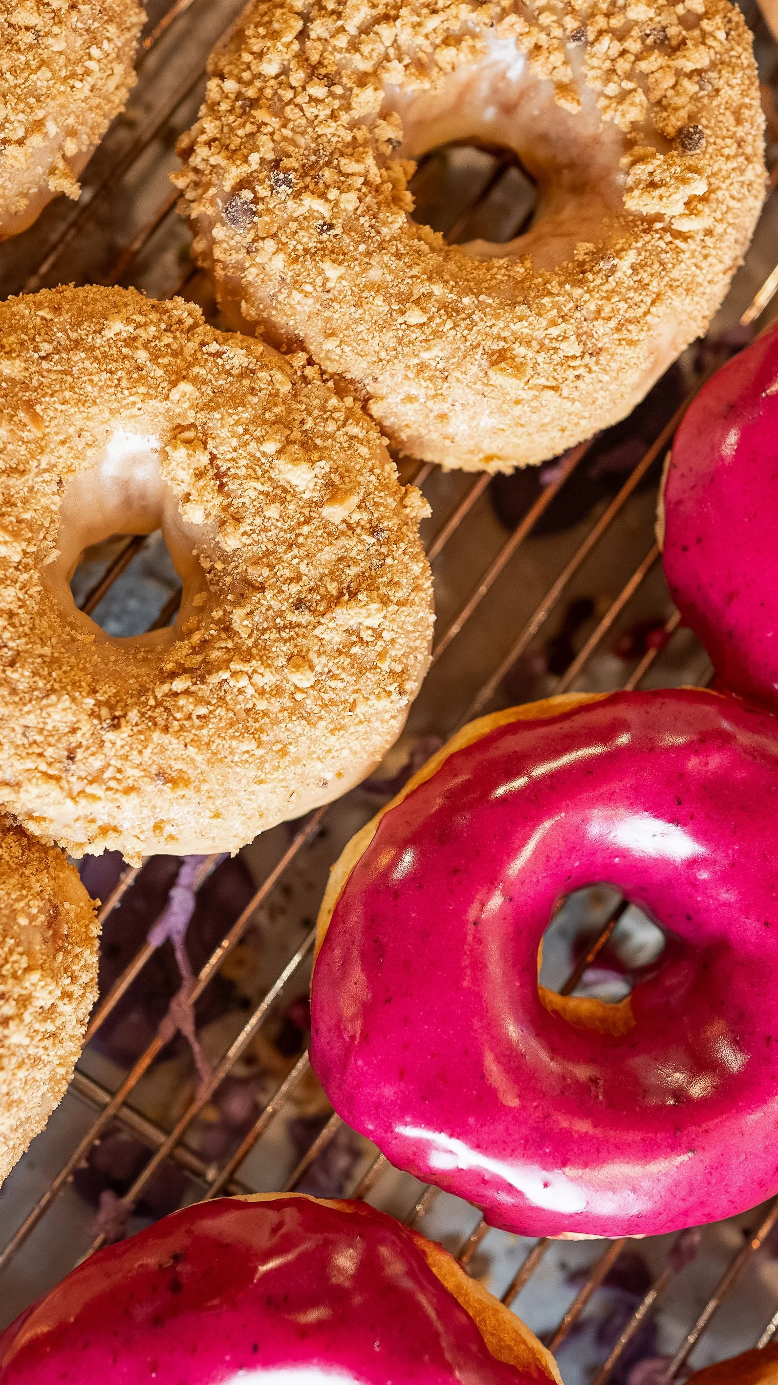 DSC02250 - Bronuts.jpg