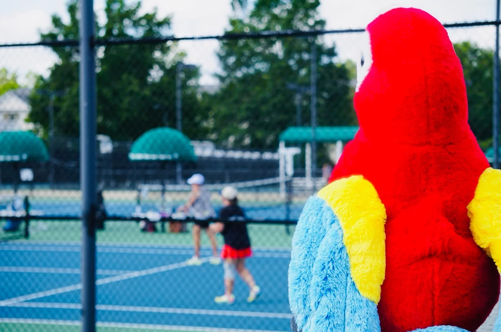 USTA SC Tri-Level State Championships photo dump🎾🙌

It was a great tournament and we hope everyone enjoyed the experience!

#sctennis #sumtersc #lovesumter #palmettotenniscenter #tennis