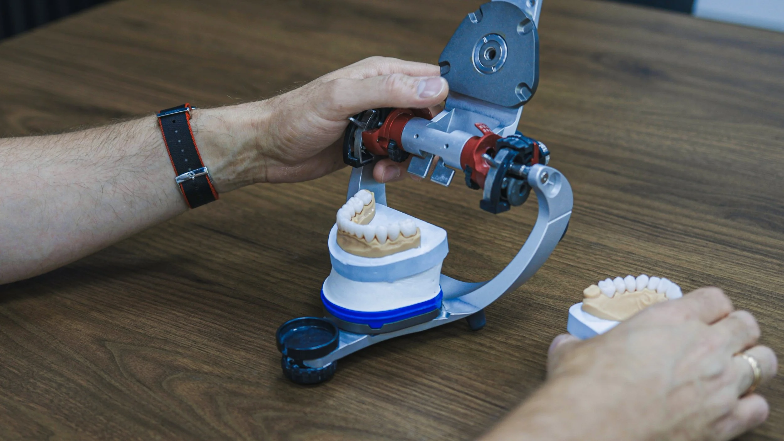 A person adjusting a mechanical dental model with a mounted dentist tool on a wooden table.