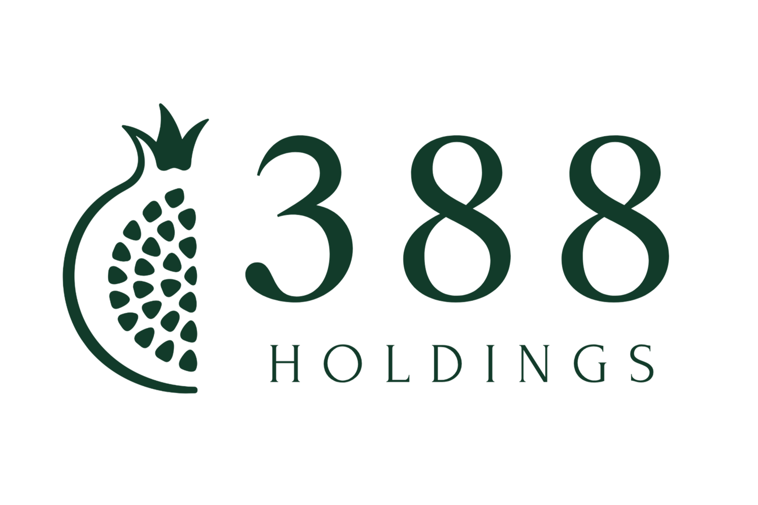 388 HOLDINGS LLC