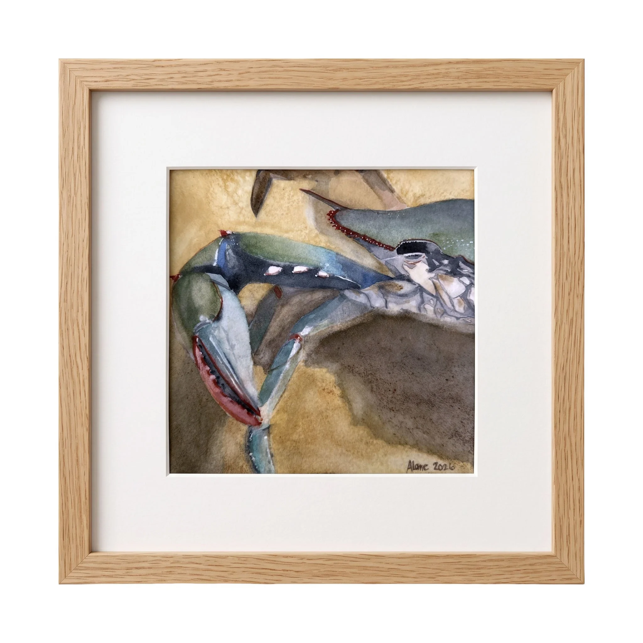 Blue Crab #1