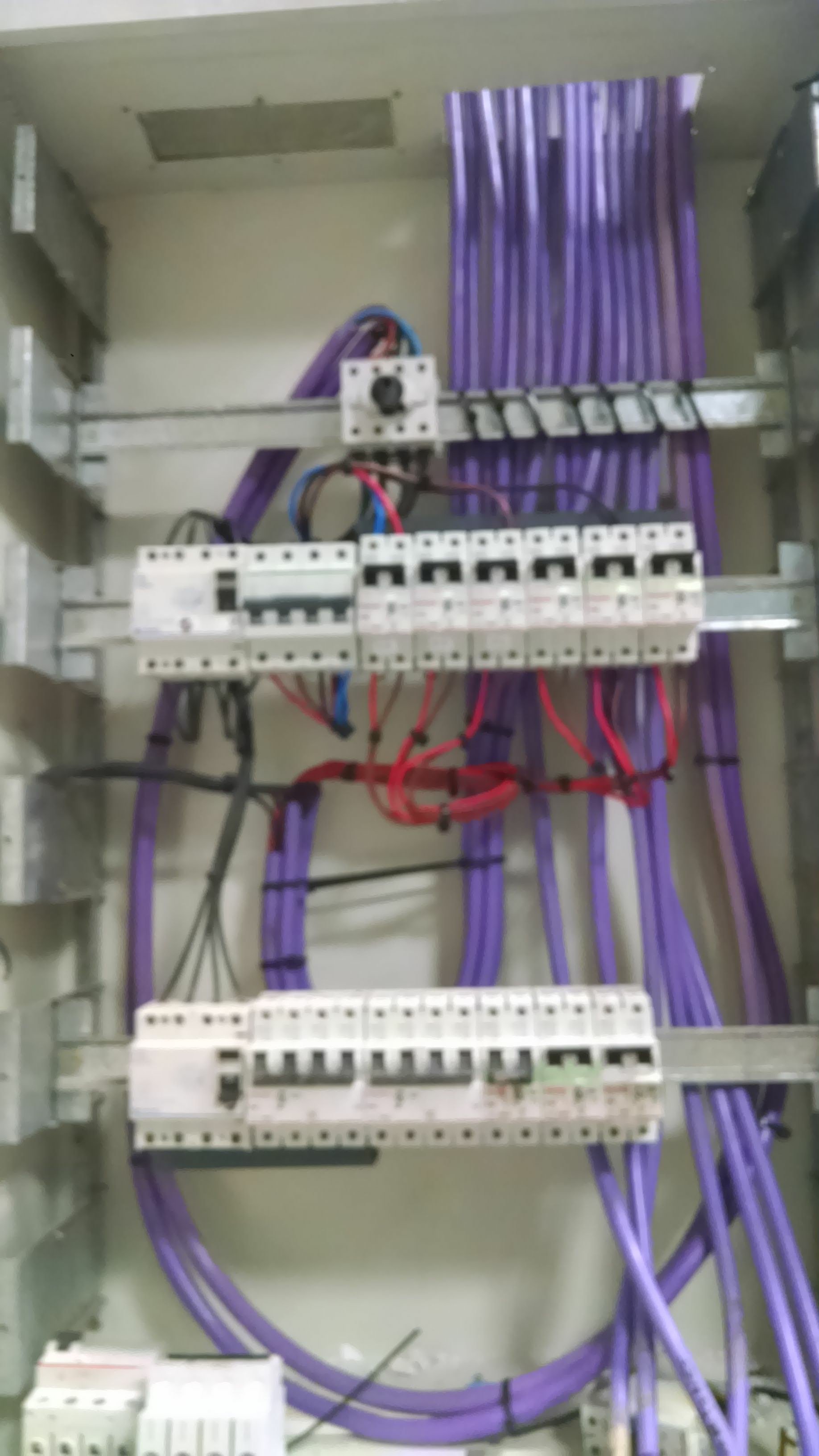 Cuadro de control eléctrico con cables morados, disyuntores y componentes eléctricos en una caja de distribución.