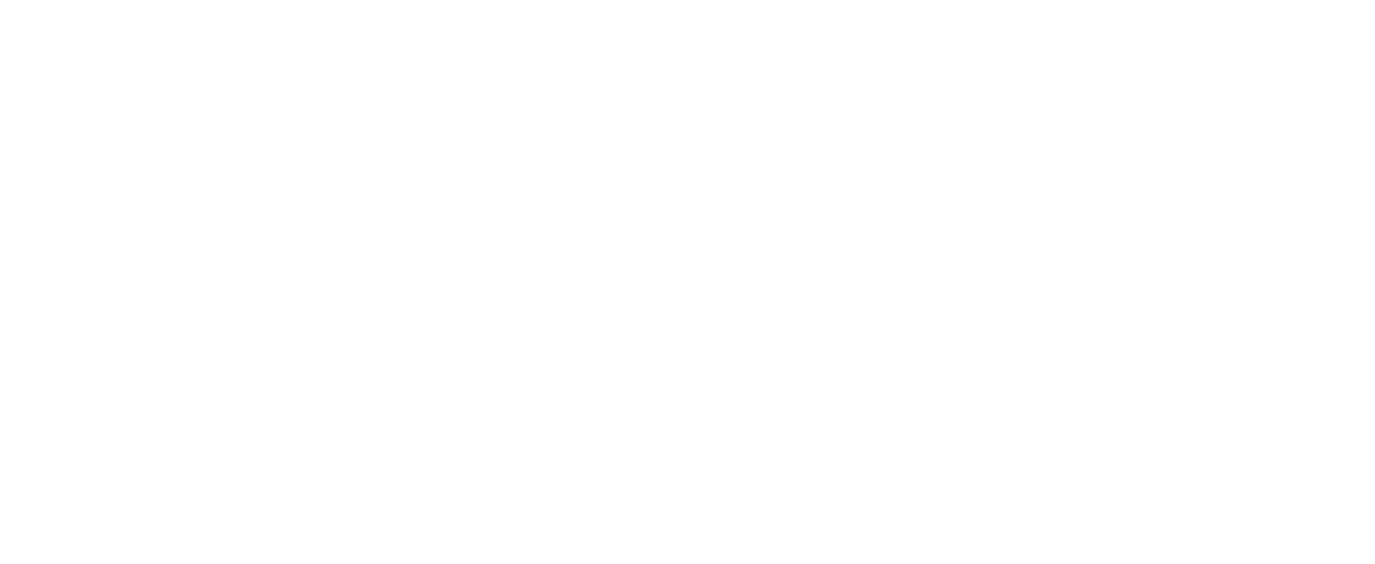 The Casa Collective