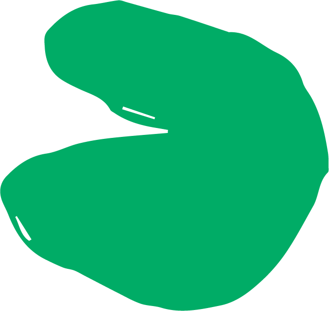 A green bell pepper with a curved shape against a black background.