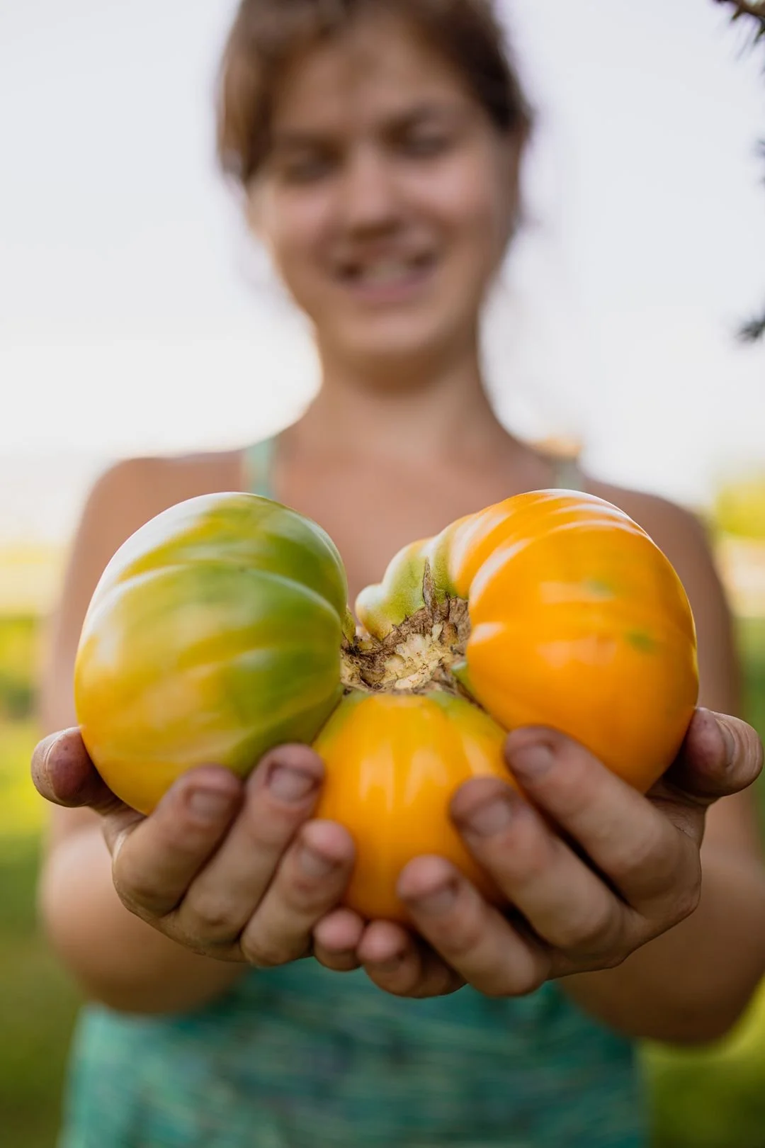 Girl holding a large, ripening tomato with green and orange coloring, outstretched towards the camera, outdoors in a garden.