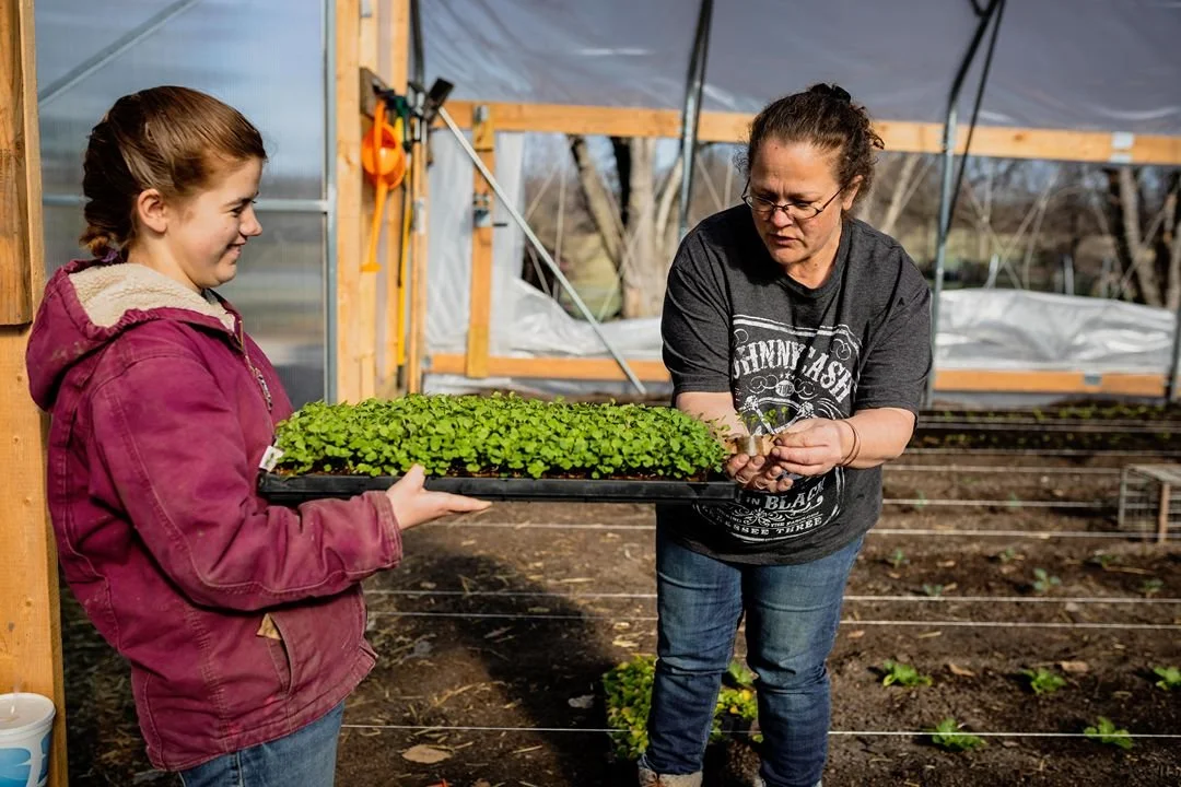 A young girl in a maroon jacket is handing a tray of young green plants to a woman near a greenhouse and garden shed.