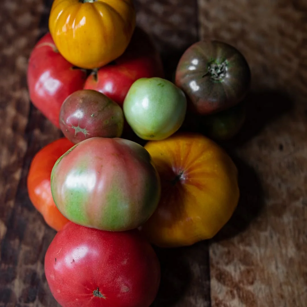 A variety of heirloom tomatoes of different colors including red, green, yellow, and purple, arranged on a wooden surface.
