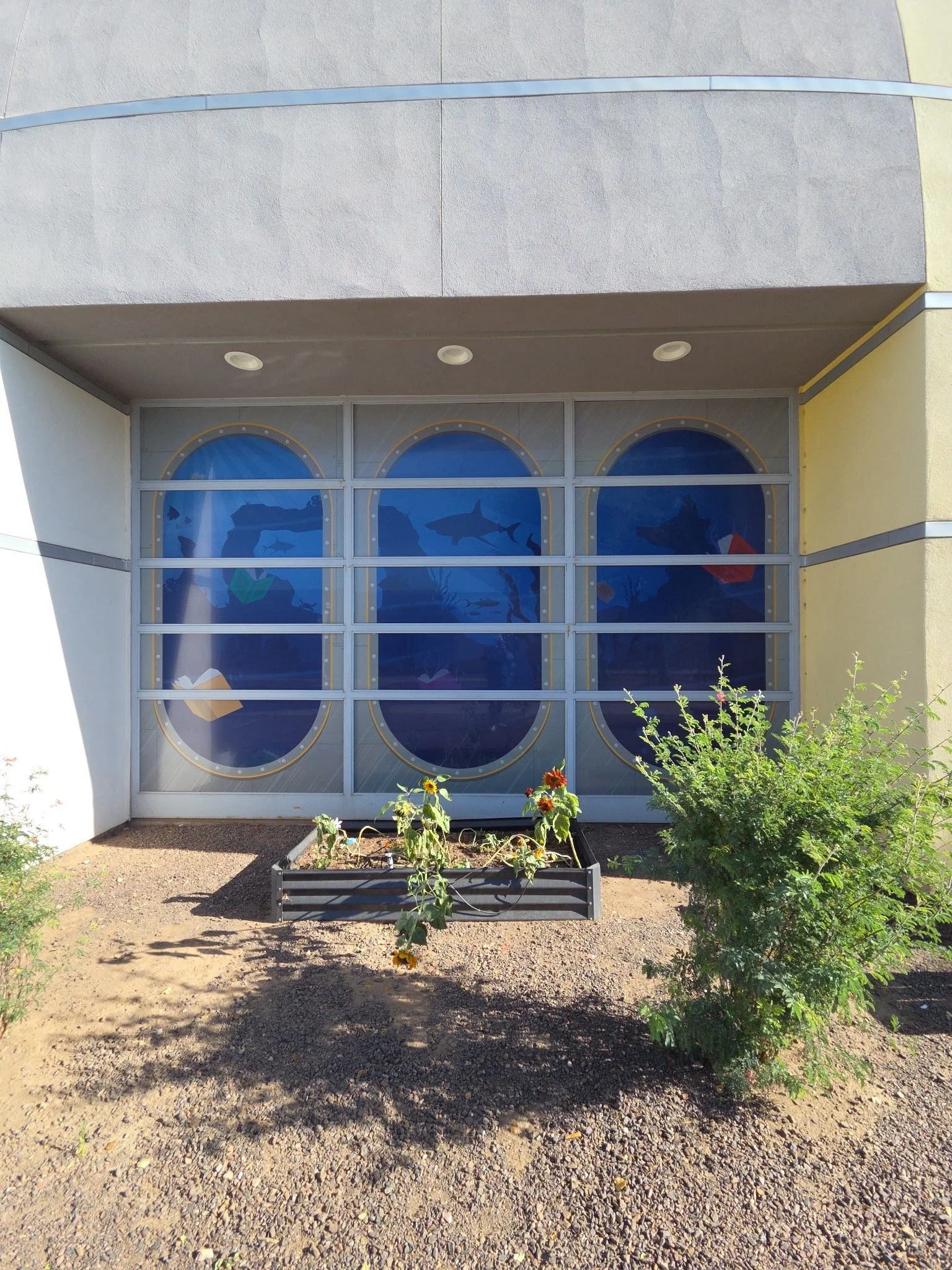 The image shows the exterior of a building with a large glass window featuring silhouettes of marine animals such as sharks, dolphins, and whales. In front of the window, there are some plants and a small flower garden on soil.