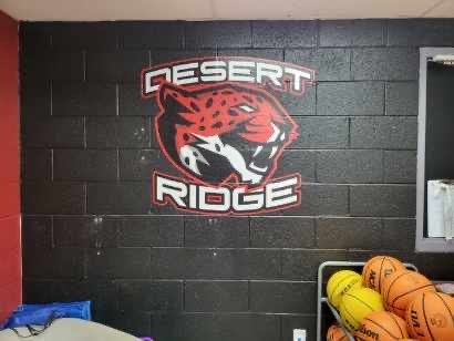 A logo of a mountain lion wearing sunglasses with the words "Desert Ridge" on a black brick wall, with sports balls in the foreground.