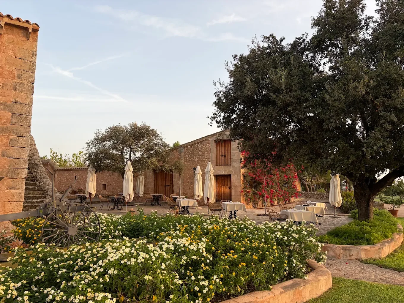 Terraza exterior de un restaurante con mesas, sillas y sombrillas, rodeada de árboles y flores en un ambiente tranquilo y soleado.