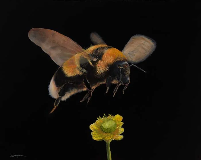 bee and flower 24x30.jpg