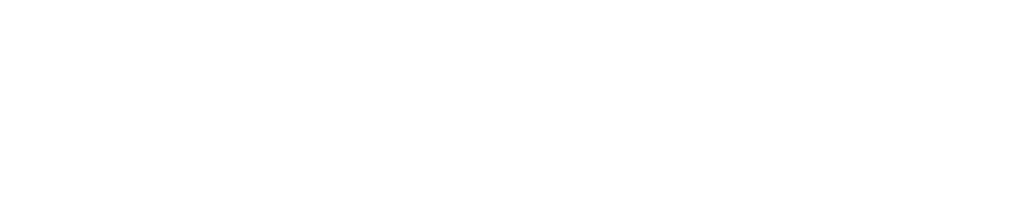 ZIREN SHANG