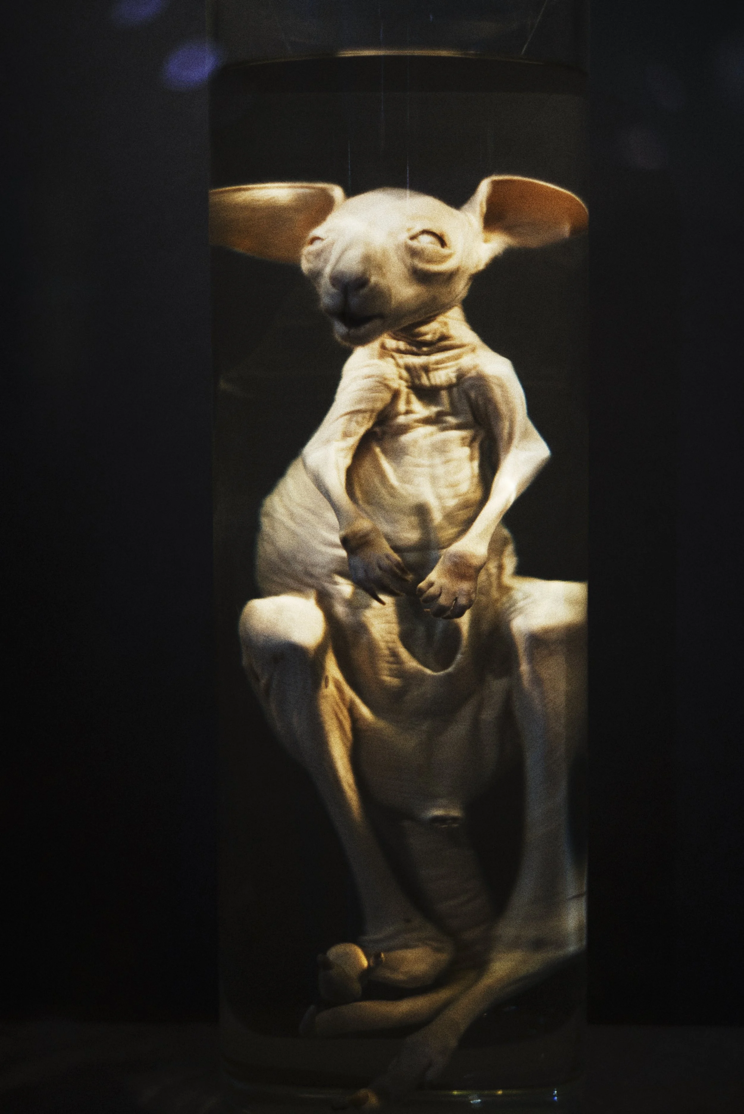 DSC00105.jpeg