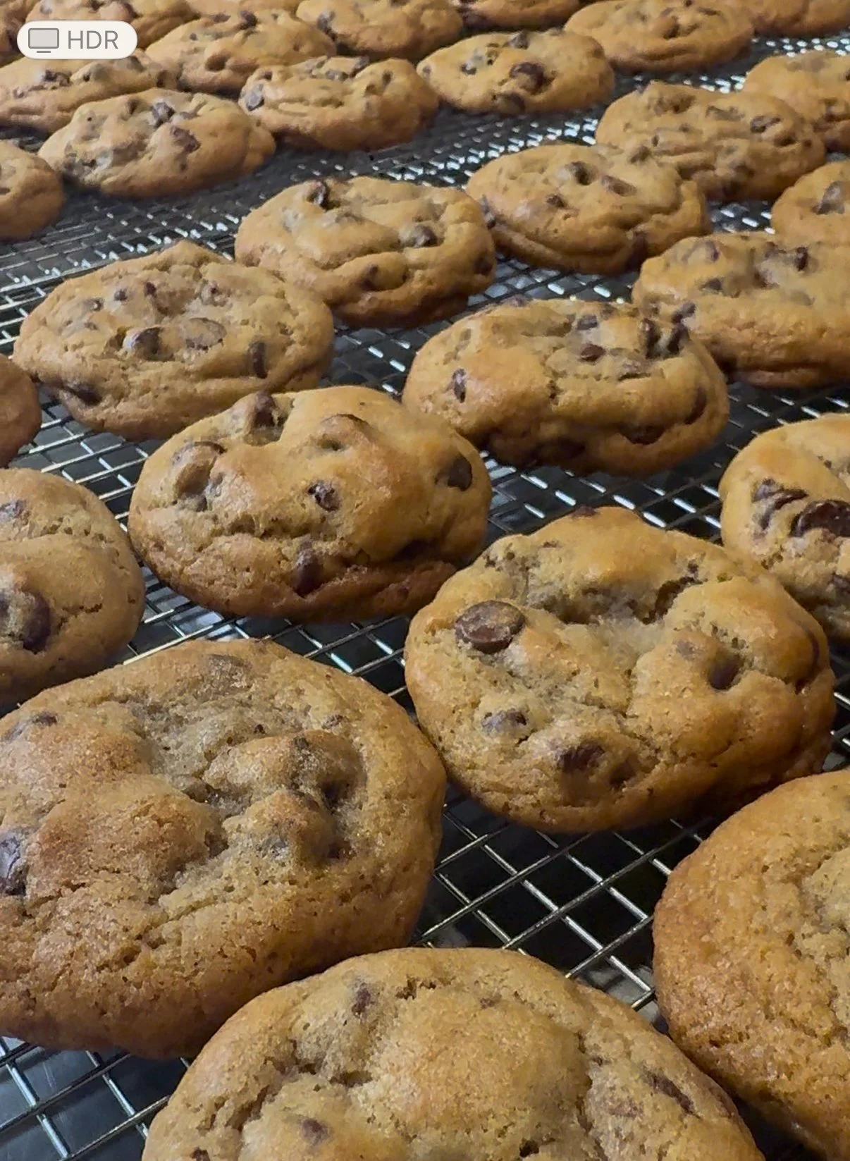 Close-up of freshly baked chocolate chip cookies cooling on a metal rack.