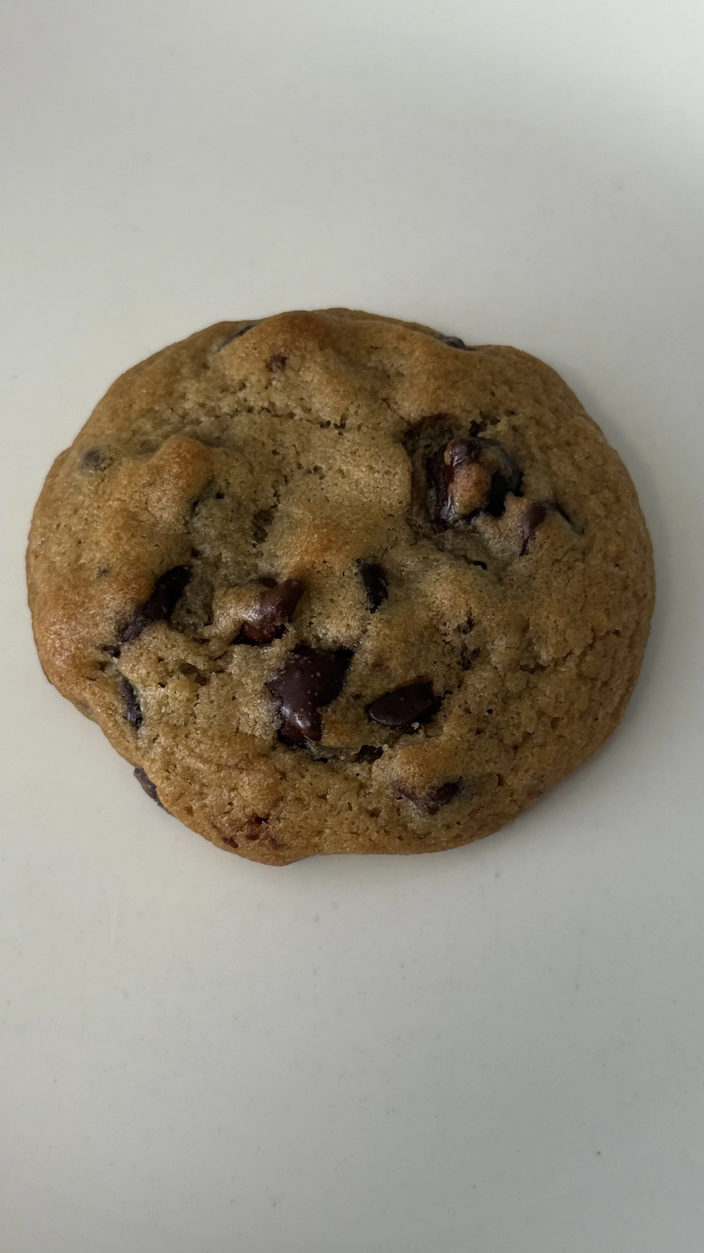 Chocolate Chip
