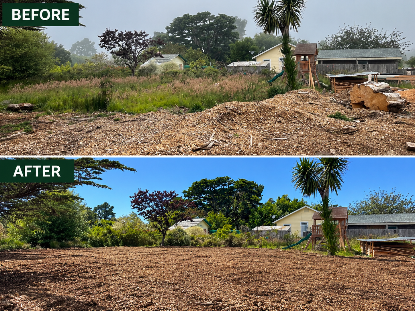Before and after land clearing project