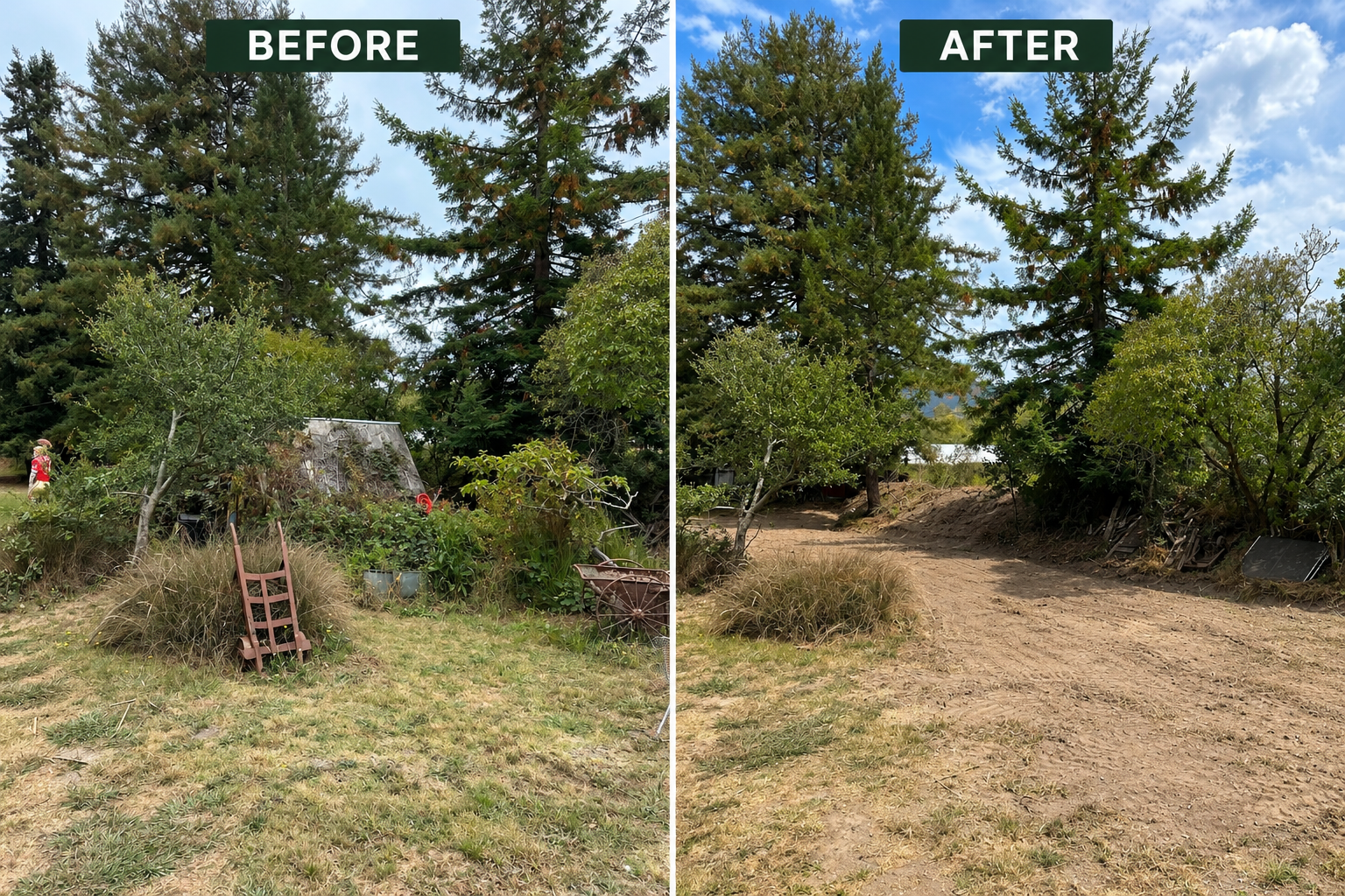 Before and after land clearing and site cleanup by Northern Terrain Management.