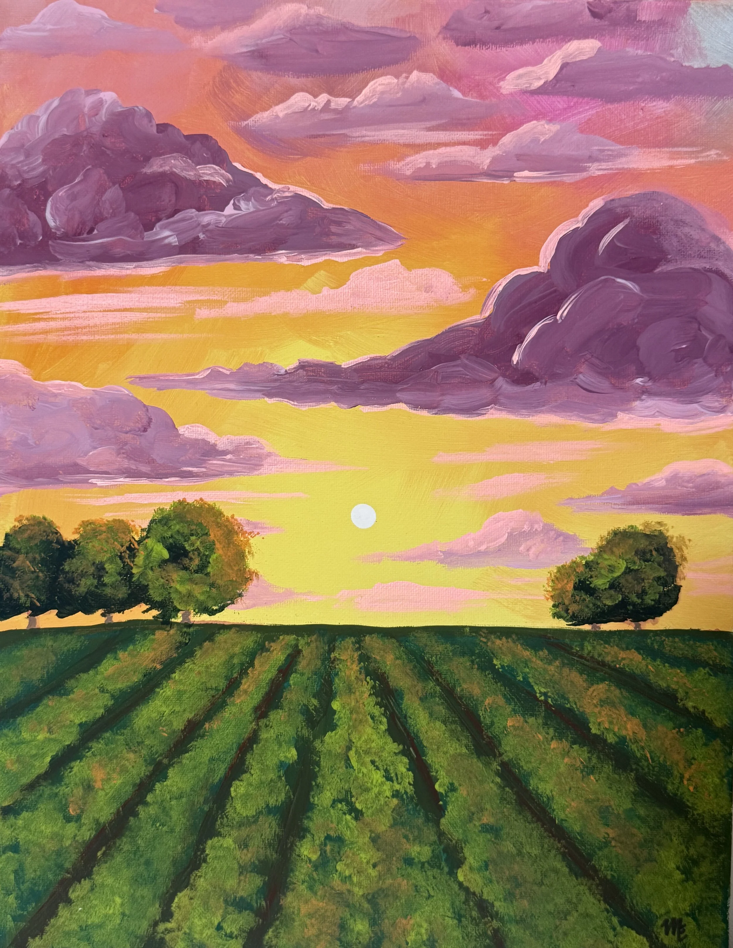 My Land