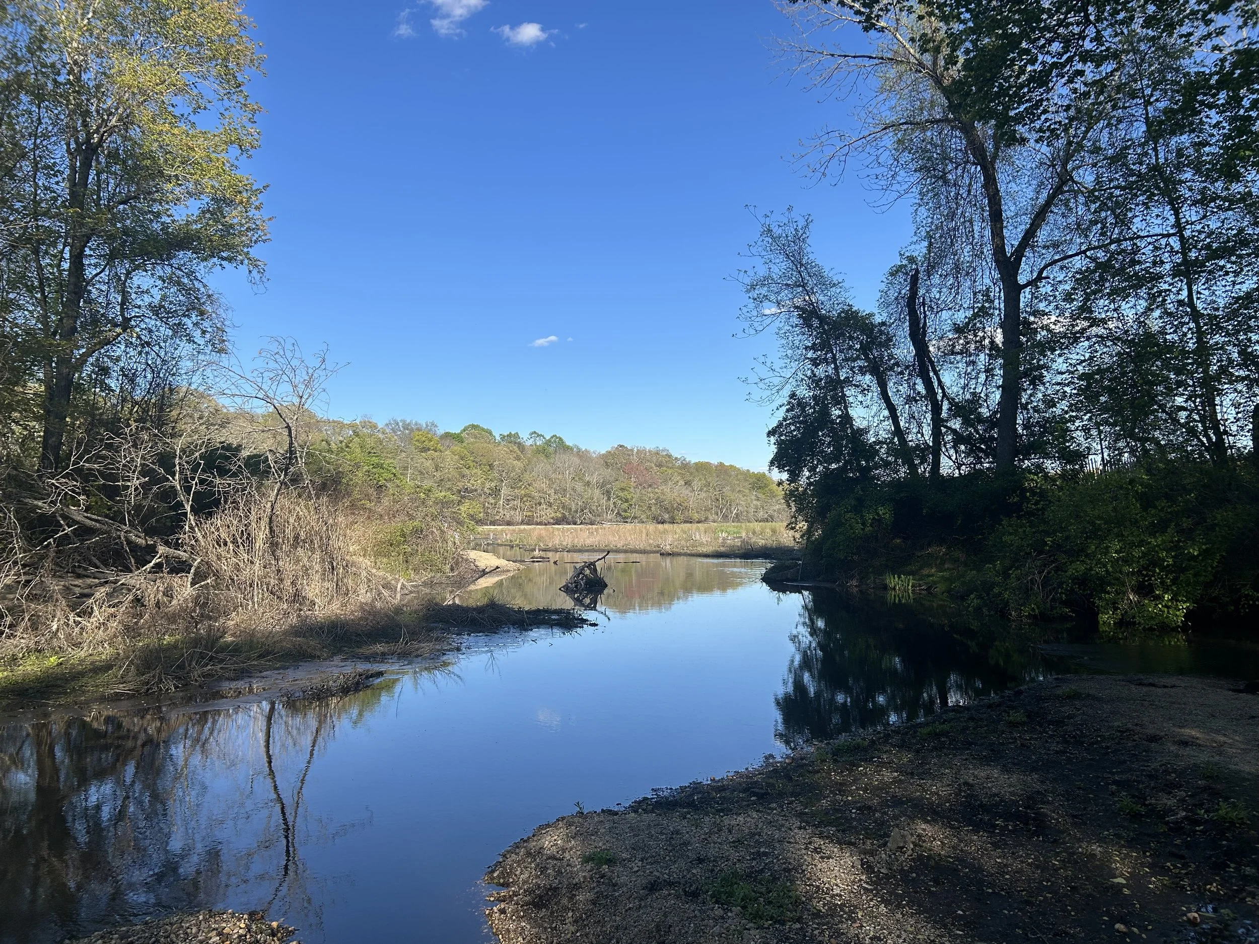A tranquil river scene with clear blue sky, trees on both sides, and calm water reflecting the trees and sky.