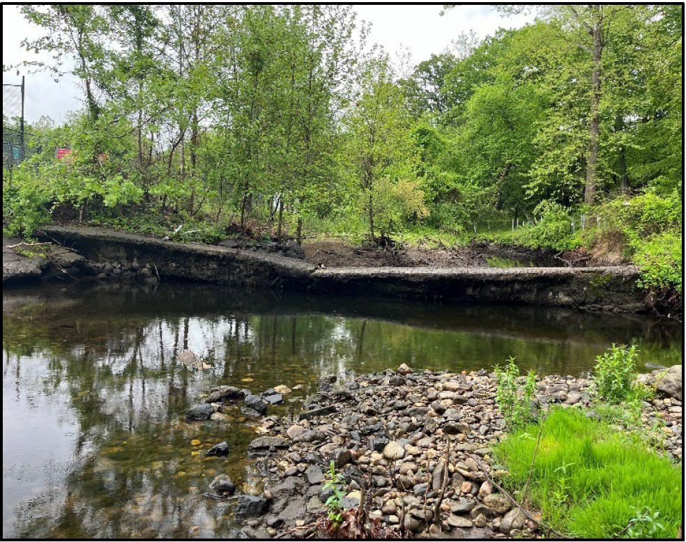 A small, calm creek with rocky banks surrounded by lush green trees and vegetation.
