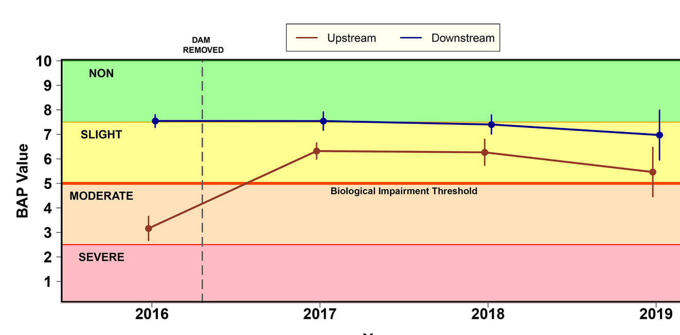 Line graph showing BAP values from 2016 to 2019, with categories non, slight, moderate, and severe, indicating trends in upstream and downstream data, with the dam removed after 2016 and a threshold line at level 5 for biological impairment.