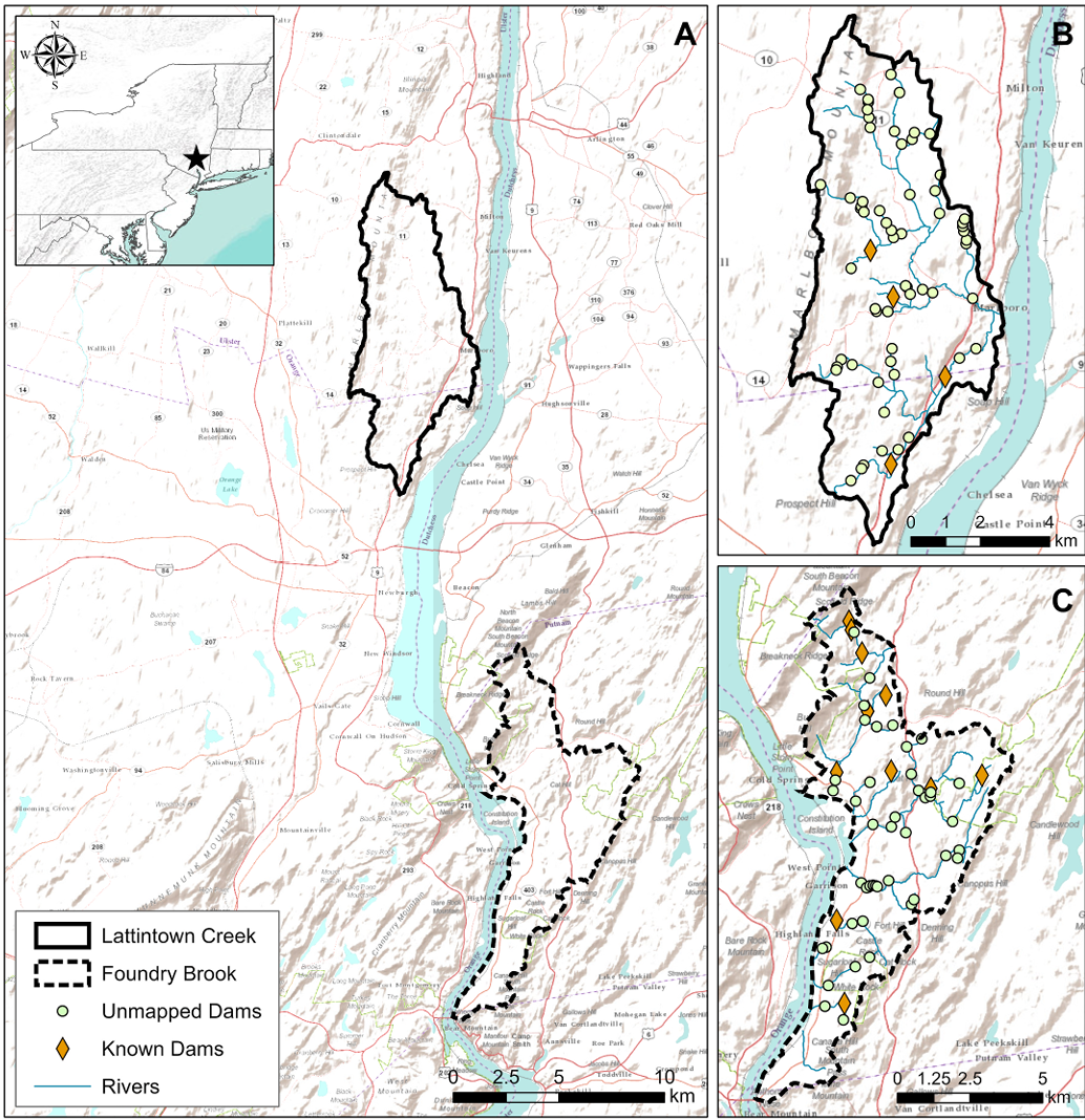 Map of Lattintown Creek with details of Known and Unmapped Dams, rivers, and watershed areas in New York.