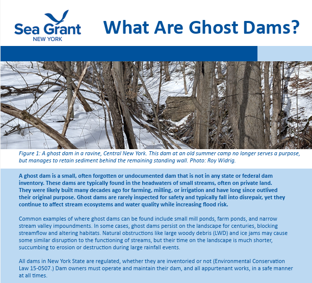 An informational graphic titled 'What Are Ghost Dams?' by Sea Grant New York. It features a photo of a snow-covered, leafless forest with fallen branches. The graphic explains that ghost dams are small, often forgotten dams not listed in official inventories, typically found in headwaters of streams on private land. It describes their purpose, inspection rarity, and potential hazards, emphasizing their impact on ecosystems and flood risks.