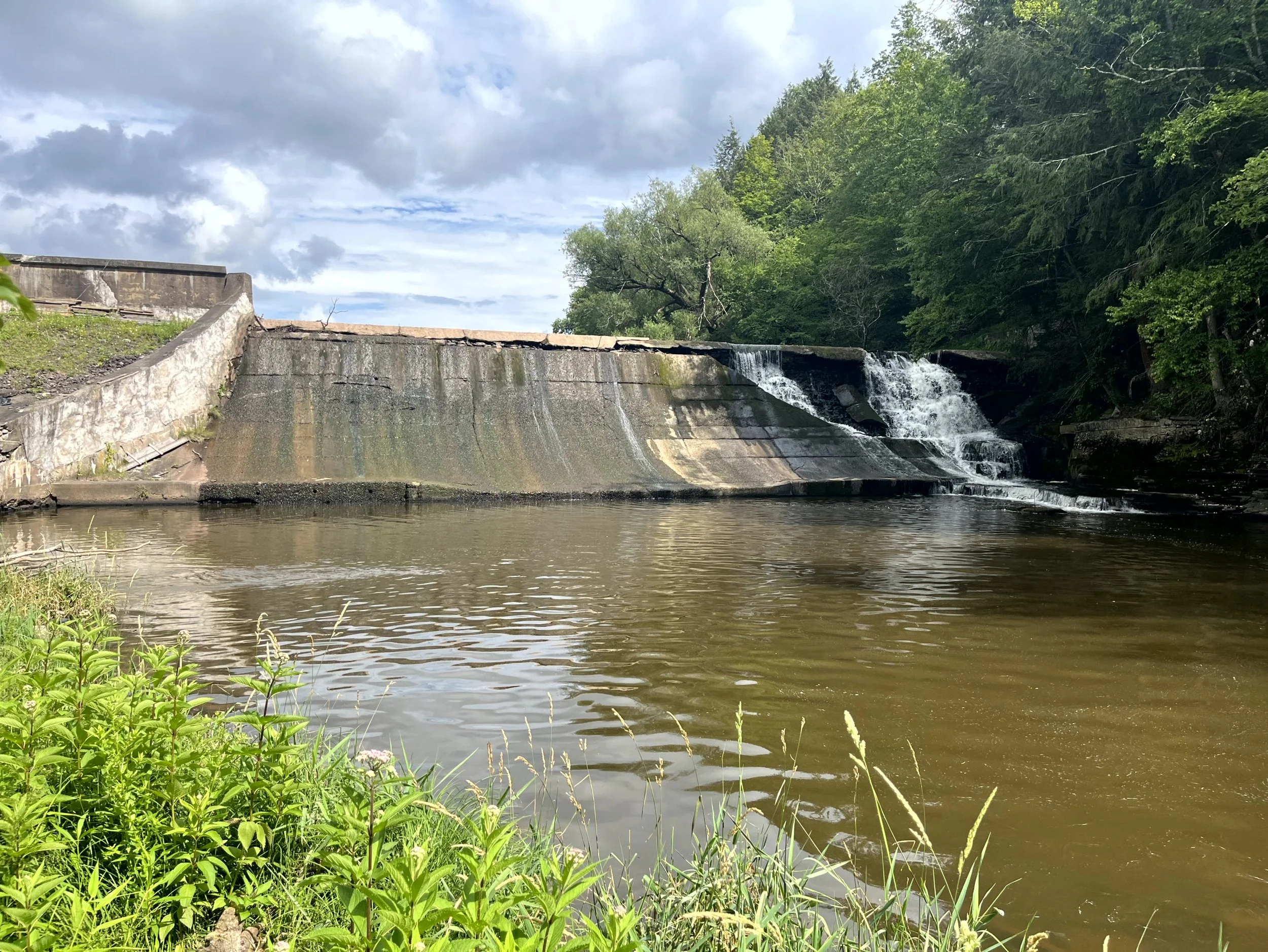 A small waterfall flowing over a concrete dam into a river, surrounded by green trees and bushes under a partly cloudy sky.