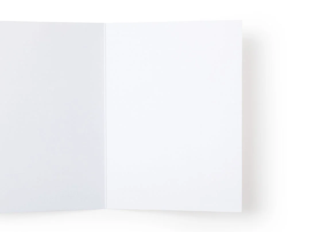 IMG_8046.jpeg