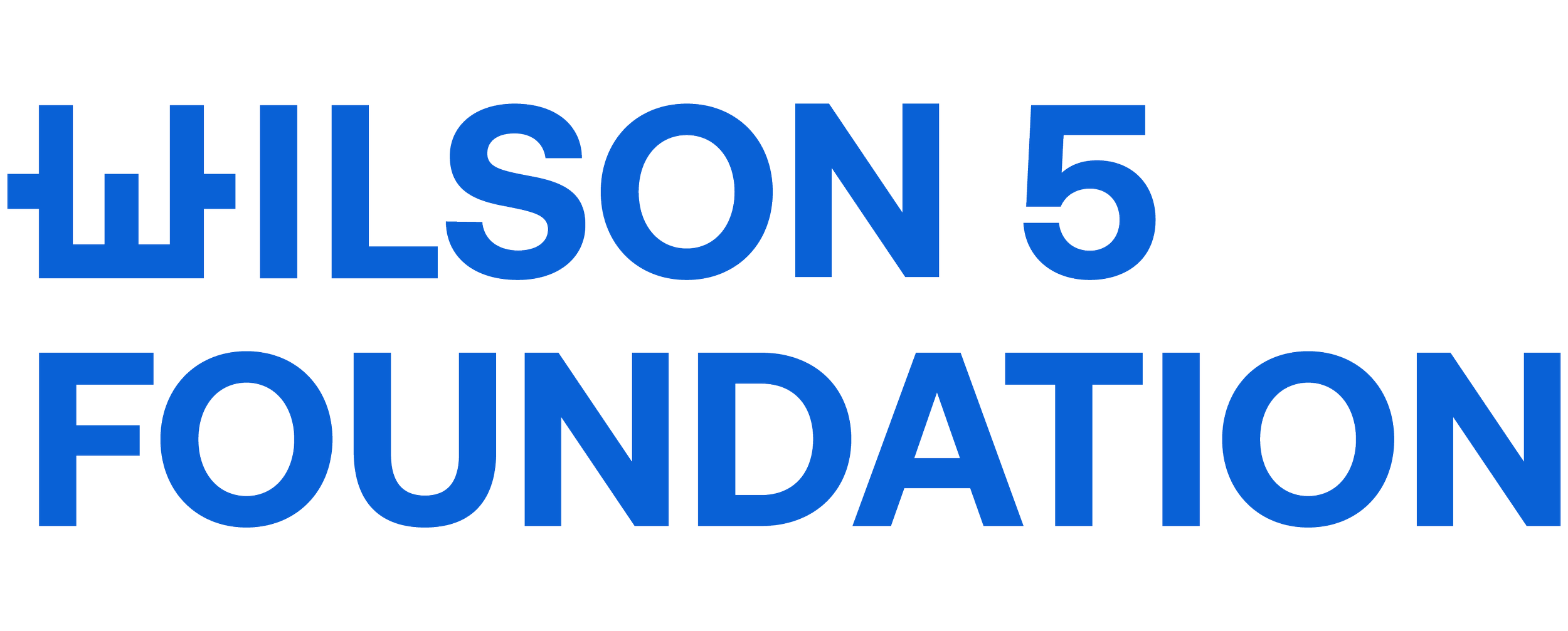 Wilson 5 Foundation Logo - All Black with Blue W