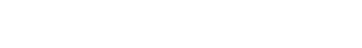Wilson 5 Foundation 