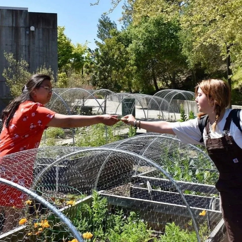 Two women are exchanging an item in a community garden with green plants and mesh-covered rows of vegetables, surrounded by trees and a wooden building in the background.