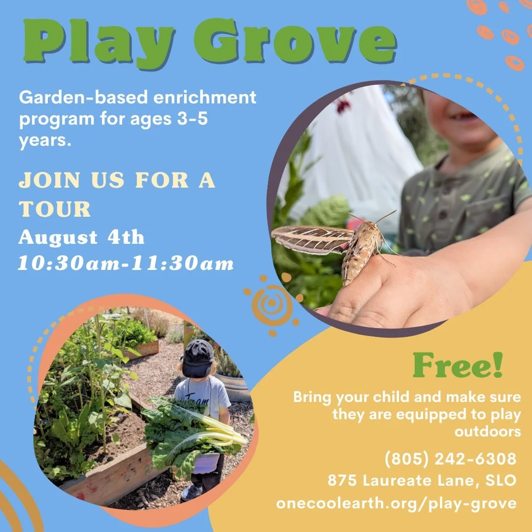 Our third year of Play Grove is just around the corner! 

Play Grove is a garden-based enrichment program designed for ages 3-5, located in San Luis Obispo at our central garden site. As an extension of One Cool Earth&rsquo;s seasonal learning model,