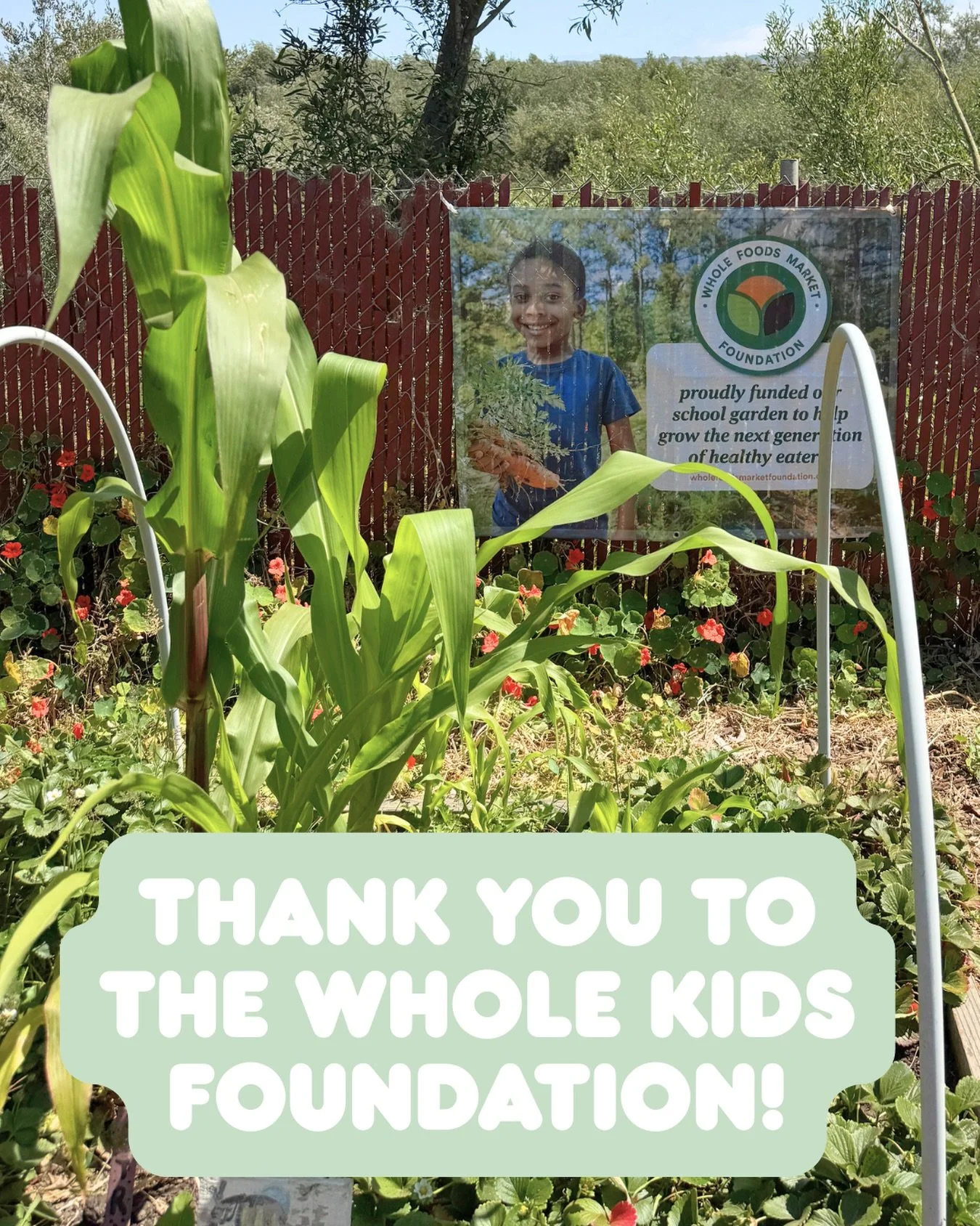 Big thanks to the Whole Kids Foundation! 🌱

We&rsquo;re so grateful for their generous funding and materials supporting our garden education program at Mary Buren Elementary in Guadalupe. This kind of support helps us keep hands in the soil and kids