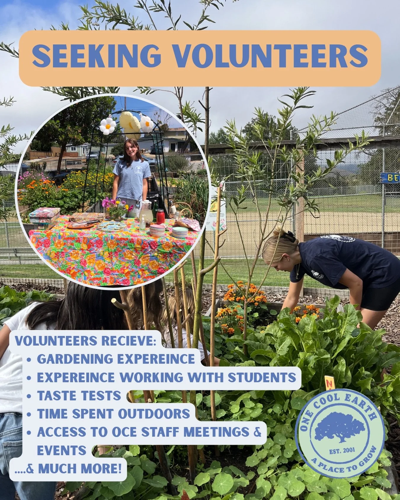 We are looking for volunteers! Whether you are passionate about working with children, curious about outdoor education, or simply love to garden, there is a place for you at One Cool Earth. Help us bring our school gardens to life and make a real imp