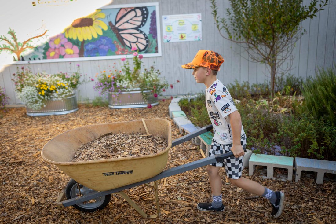 One Cool Earth School Program