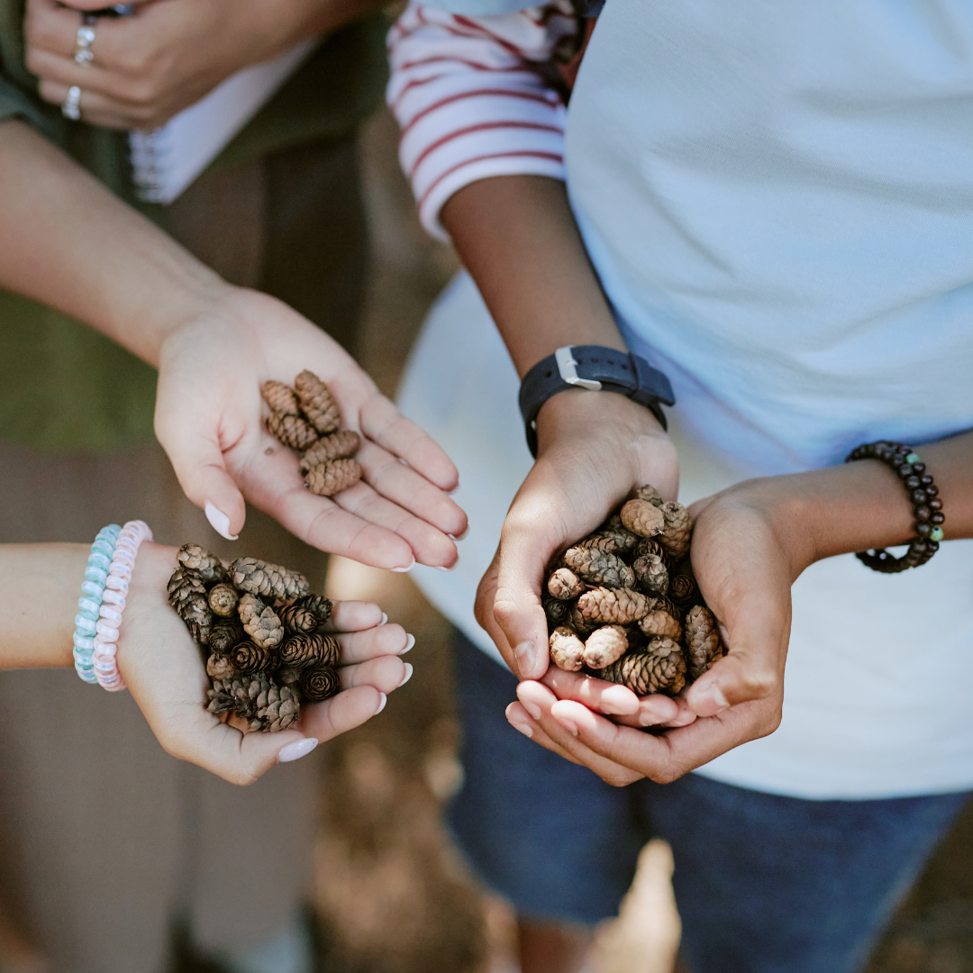 Kids holding seeds outside.